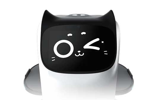 Robot serveur en terrasse : est-ce possible ? Conseils & Astuces